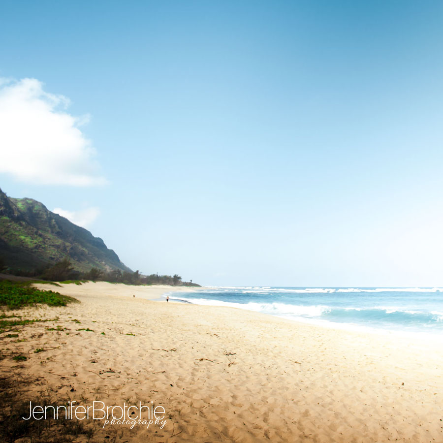Hawaii Wedding and Family Photographer at Mokule'ia Beach, Oahu, landscape.