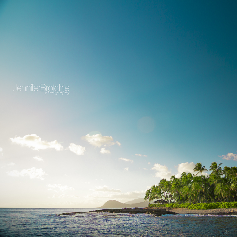 hawaii wedding and family photographer based in oahu, palm trees at ko olina near aulani