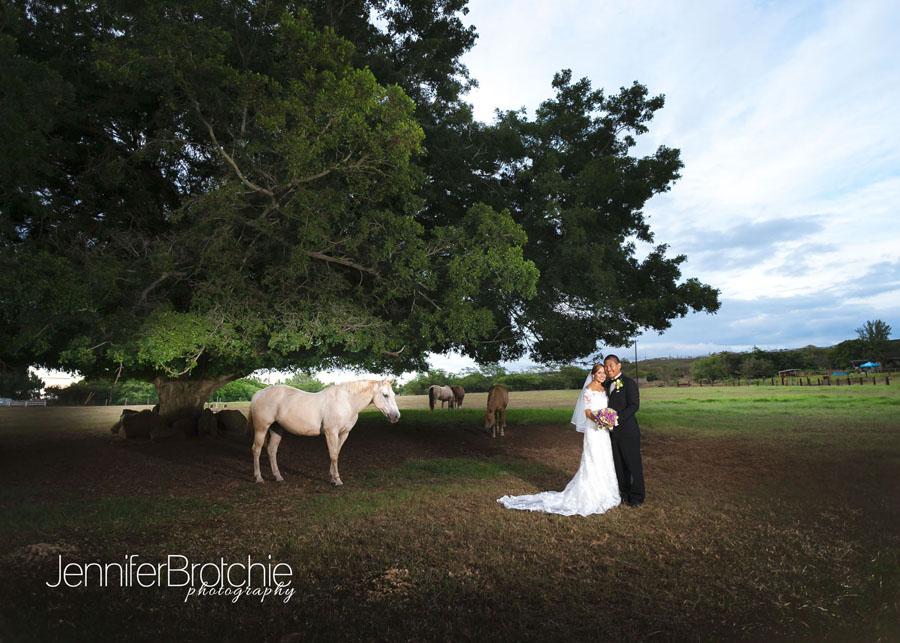 wedding oahu photographer professional north shore hawaii's best