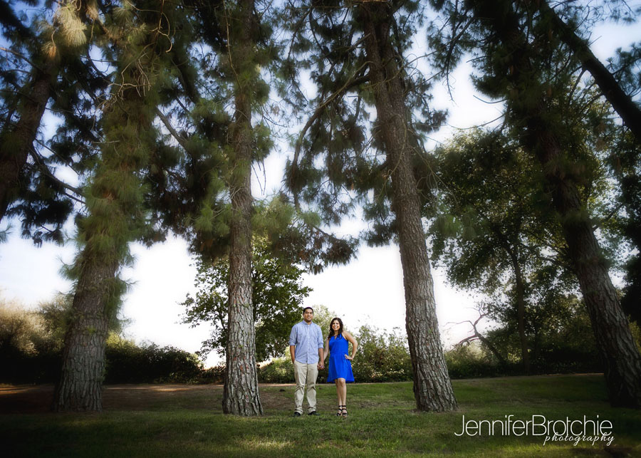 oahu wedding photographer engagement hawaii family photo