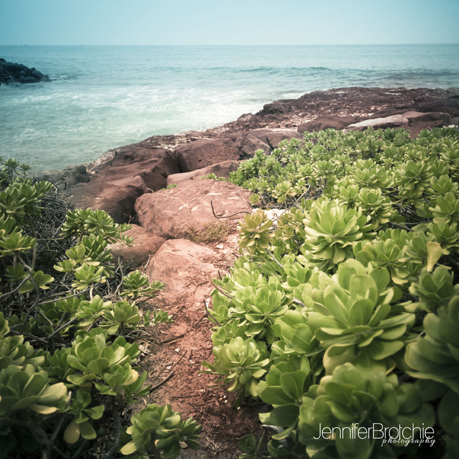 pathway to ocean at koolina lagoons at disney aulani resorts