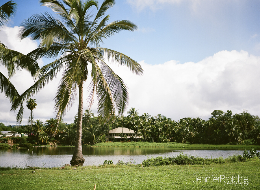 haleiwa north shore family picture film oahu