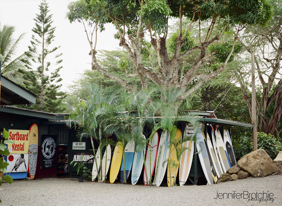 haleiwa north shore family photographer film