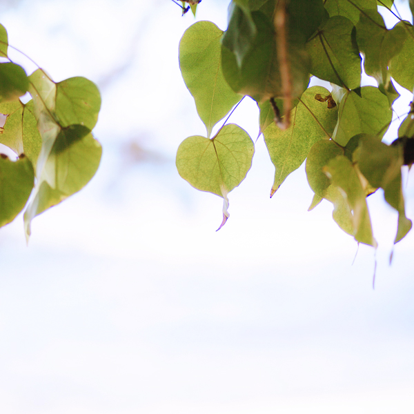 oahu family photographer beach disney aulani marriott ihilani