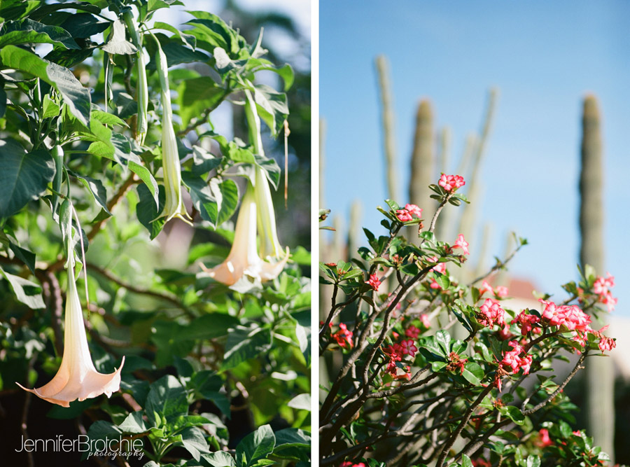 sunday farmers market things to do kapiolani college