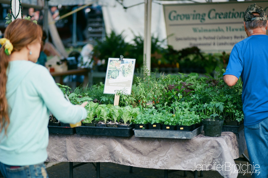 sunday farmers market