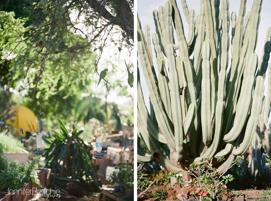 waikiki honolulu sunday