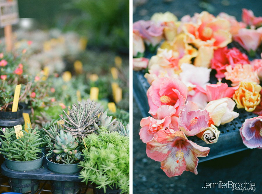 waikiki-honolulu-sunday farmers market in oahu, things to do