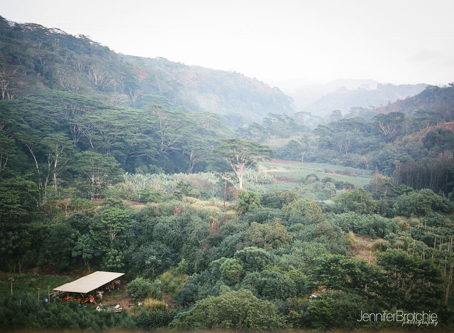 oahu professional photography film