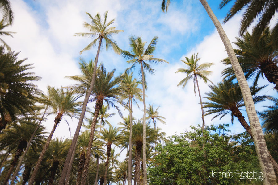 oahu professional family photographer, hawaii, north shore, turtle bay resort, disney aulani resort