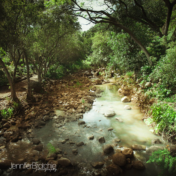 oahu hiking at waimea falls, things to do