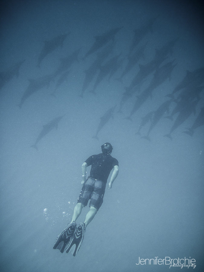 oahu-famiily-photographer-swim-with-dolphins-hawaii-4
