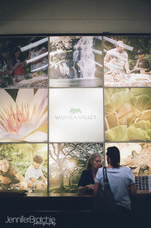 Waimea Falls, North Shore, things to do, places to visit, hiking on Oahu, Botanical Gardens, Waterfalls