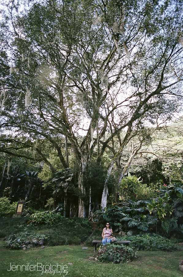 oahu-things-to-do-waimea-falls-places-to-visit-hiking-5