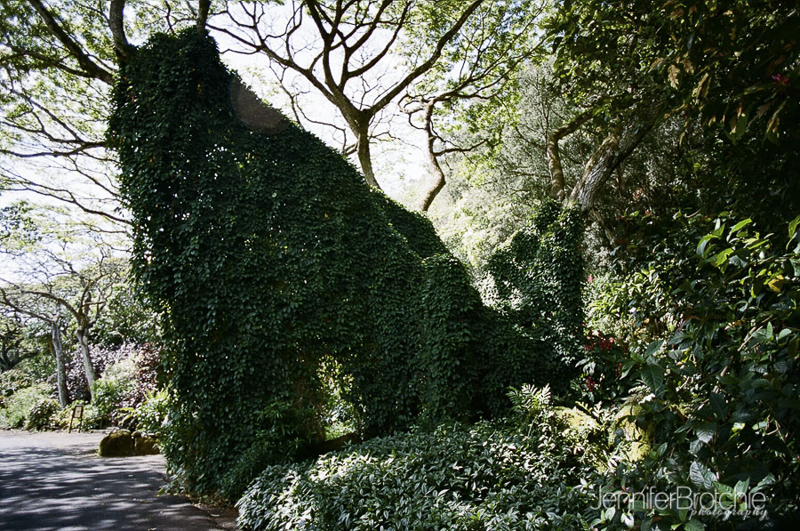 oahu-things-to-do-waimea-falls-places-to-visit-hiking-6