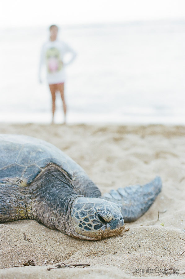 Oahu family photographer, film photographer, Photographer in Hawaii, Beach Vacation Photos, North Shore