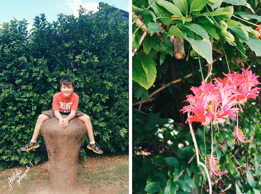 Oahu Hiking, Things to Do, Hawaii, Pillbox Hike, Lanikai, Galaxy Note 4, Samsung Pictures