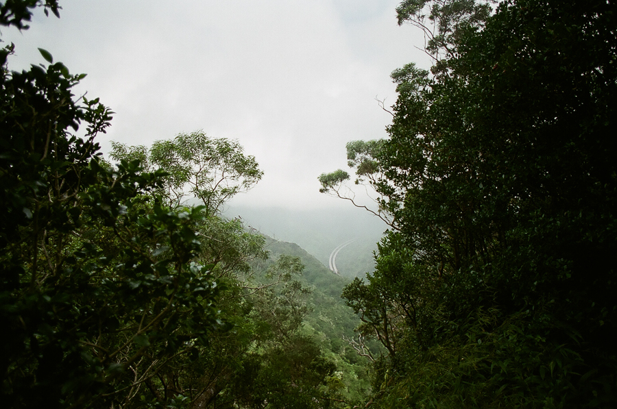 Oahu Hiking Trails, Things to do while on Oahu, Film Photography, Nature, Easy Hikes