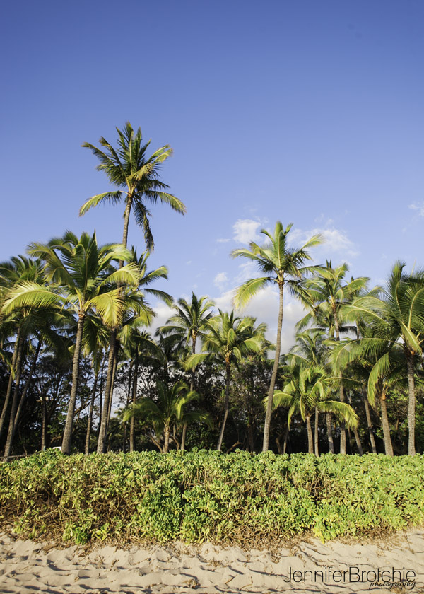 Disney Aulani Resort Photographer, Koolina Photos on the Beach, Professional Hawaii Pictures, Honolulu Beach Portraits