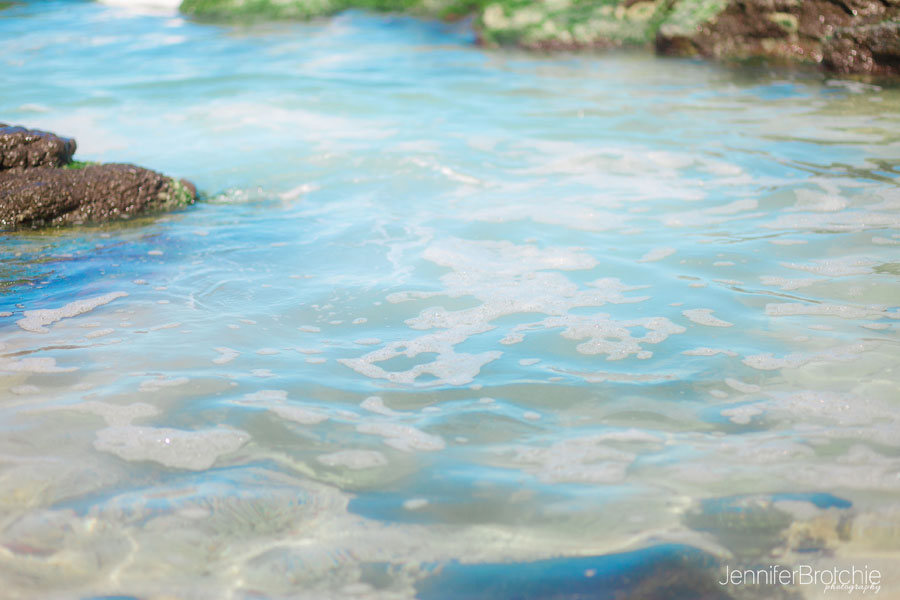 Oahu Family Children Photographer, Haleiwa North Shore Beaches,  Things to do, Places to  Visit,  Hawaii Photographer