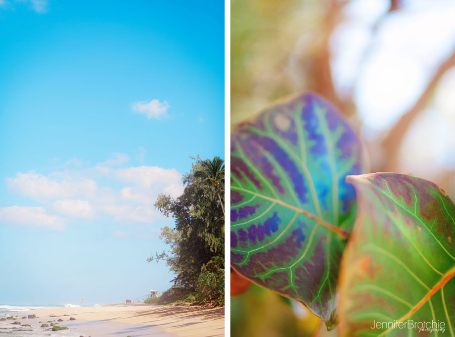 Oahu Family Children Photographer, Haleiwa North Shore Beaches,  Things to do, Places to  Visit,  Hawaii Photographer