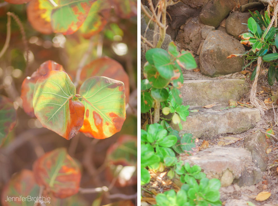 Oahu Family Children Photographer, Haleiwa North Shore Beaches,  Things to do, Places to  Visit,  Hawaii Photographer