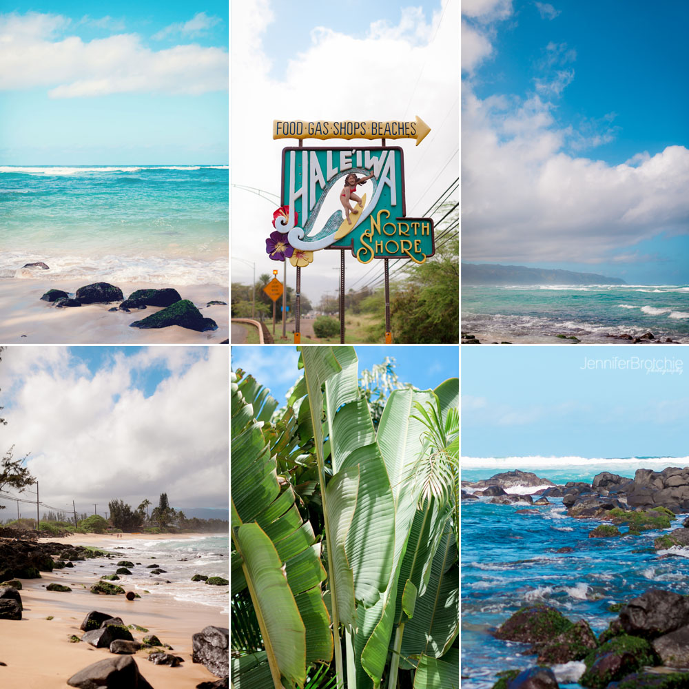 Oahu Family Photographer, Hawaii Wedding Photographer, Where to find the sea turtles in North Shore, are there turtles at turtle bay resort,  Photographers in Oahu, KoOlina, Places to see in Oahu