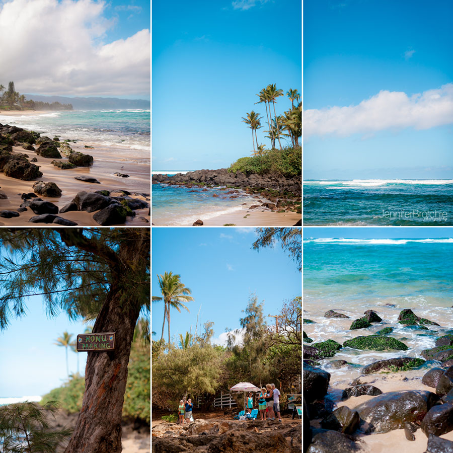 Oahu Family Photographer, Hawaii Wedding Photographer, Where to find the sea turtles in North Shore, are there turtles at turtle bay resort,  Photographers in Oahu, KoOlina, Places to see in Oahu