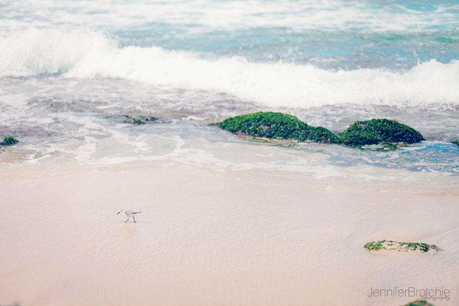 Oahu Family Photography, North Shore Lifestyle Pictures by the Beach,  Photographer at Disney Aulani Koolina, Waikiki Photographer, Vacation Beach Photos