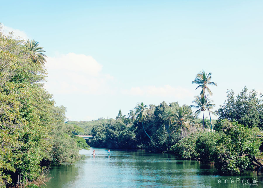 Oahu Family Photographer, North Shore Professional photos on the Beach, Disney Aulani Photographer, Waikiki Photographer, Honolulu Family Photographer, Photos at Turtle Bay Resort, Photographer in Koolina, Photographer in Hawaii, Things to Do on Oahu, Places to see and eat, Oahu