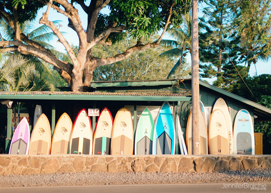 Oahu Family Photographer, North Shore Professional photos on the Beach, Disney Aulani Photographer, Waikiki Photographer, Honolulu Family Photographer, Photos at Turtle Bay Resort, Photographer in Koolina, Photographer in Hawaii, Things to Do on Oahu, Places to see and eat, Oahu