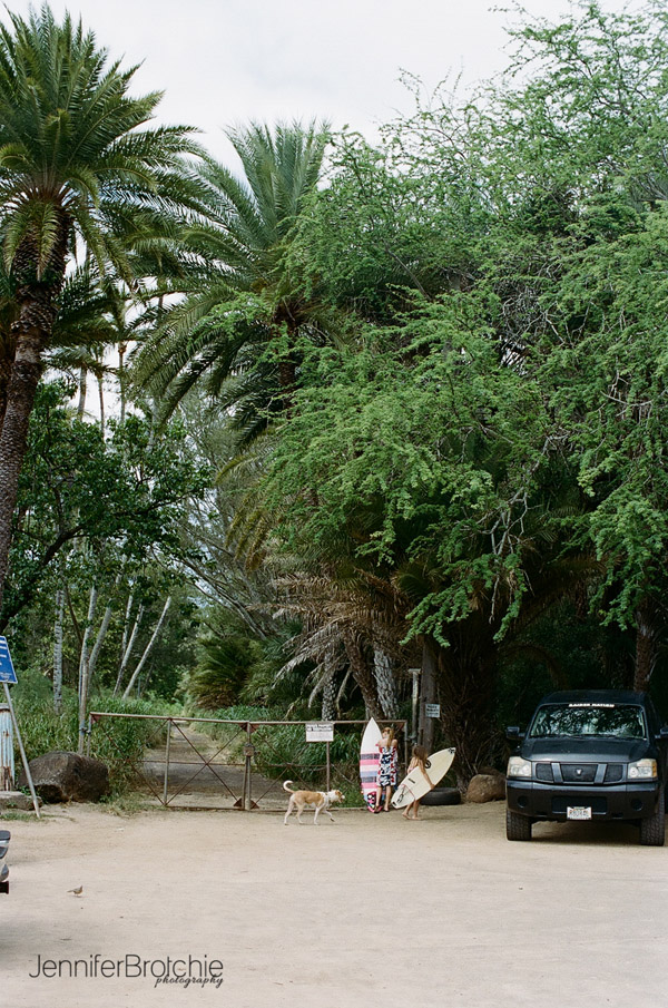 Oahu, Places To Eat, Things To Do on Oahu, Places to Visit in Waikiki, Hawaii, Oahu Photographer, Family Beach Photos, Film Photography, urf Spots, Haleiwa, North Shore