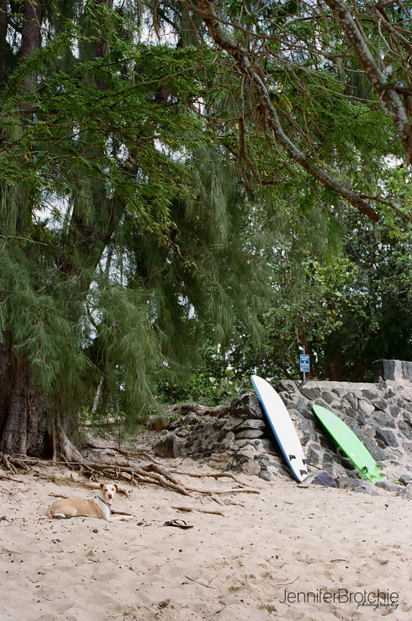 Oahu, Places To Eat, Things To Do on Oahu, Places to Visit in Waikiki, Hawaii, Oahu Photographer, Family Beach Photos, Film Photography, Surf Spots, Haleiwa, North Shore