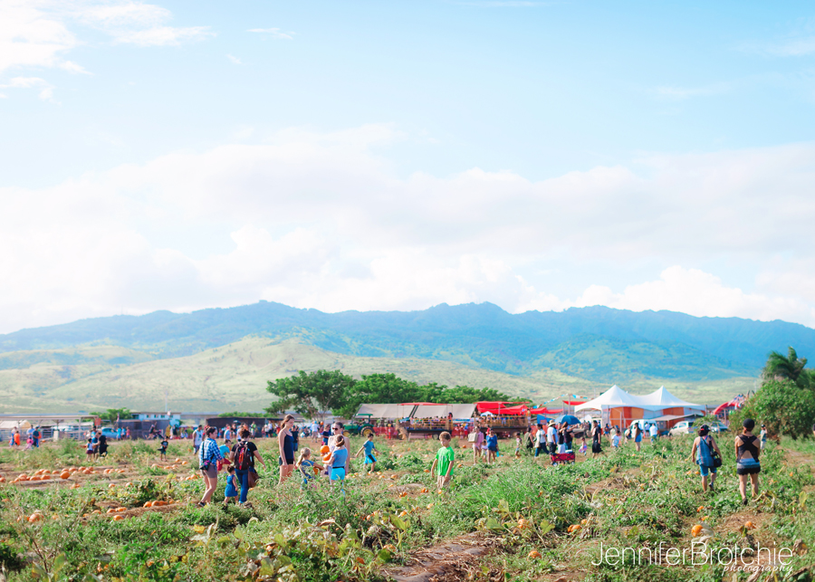 Waikiki Photographer, Oahu Family Photographer, Oahu Pumpkin Patch, Aloun Farms, Beach Portraits Oahu, Disney Aulani Photographer, Turtle Bay Resort Photographer