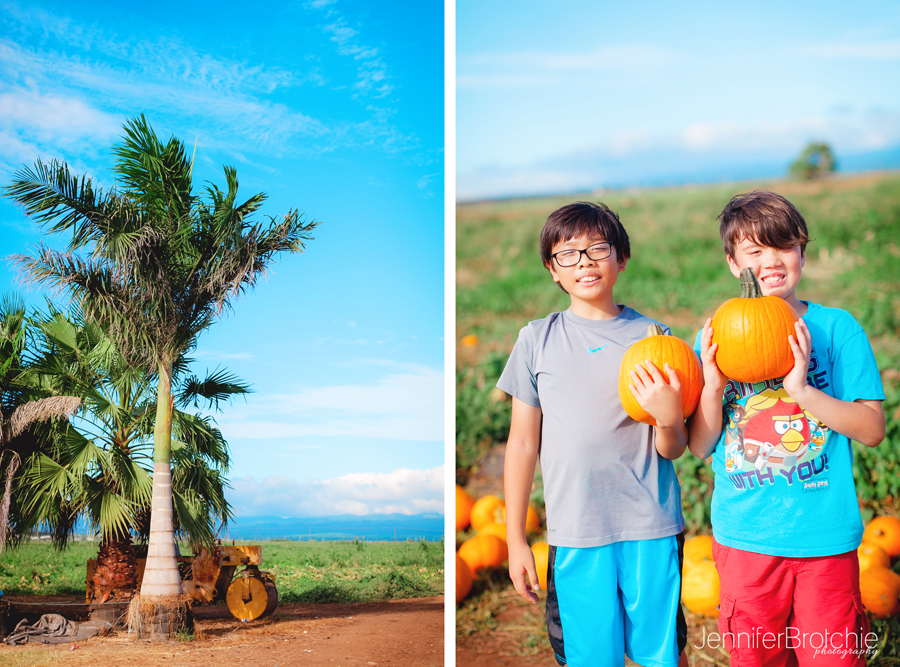 Waikiki Photographer, Oahu Family Photographer, Oahu Pumpkin Patch, Aloun Farms, Beach Portraits Oahu, Disney Aulani Photographer, Turtle Bay Resort Photographer