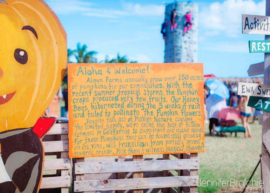 Waikiki Photographer, Oahu Family Photographer, Oahu Pumpkin Patch, Aloun Farms, Beach Portraits Oahu, Disney Aulani Photographer, Turtle Bay Resort Photographer