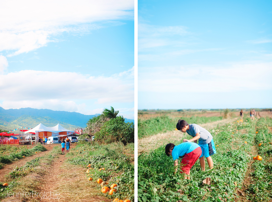 Waikiki Photographer, Oahu Family Photographer, Oahu Pumpkin Patch, Aloun Farms, Beach Portraits Oahu, Disney Aulani Photographer, Turtle Bay Resort Photographer