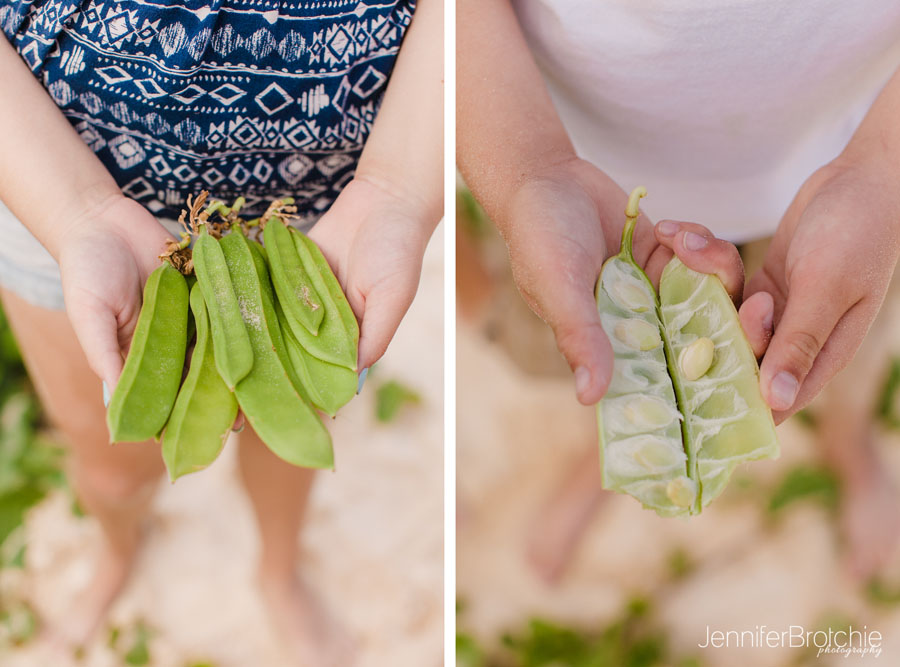 Oahu Family Photographer, Photographer in KoOlina, Disney Aulani Beach Portraits, Waikiki Photo Sessions, Turtle Bay and Lanikai Professional Photographer