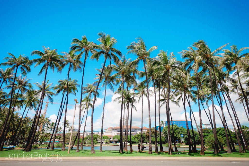 Oahu Family Photographer, Beach Portraits in Waikiki, Turtle Bay Portraits