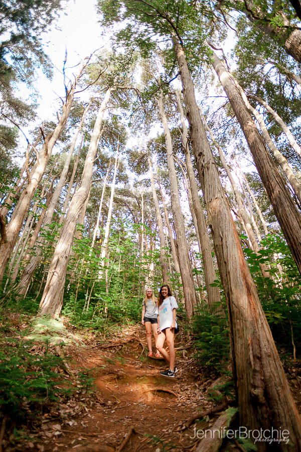 Oahu Hikes, Easy Hikes on Oahu, Hawaii. Photographer at Disney Aulani, Turtle Bay Resort Beach Portraits, Waikiki Photo Shoots, Things to Do on Oahu, Easy Nature Hikes with Kids