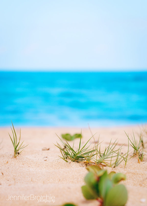 Oahu Photographer, Family Portraits on the Beach, Hawaii Photographer, Disney Aulani Photos Pass, Turtle Bay Resort Professional Pictures, KoOlina Photographer