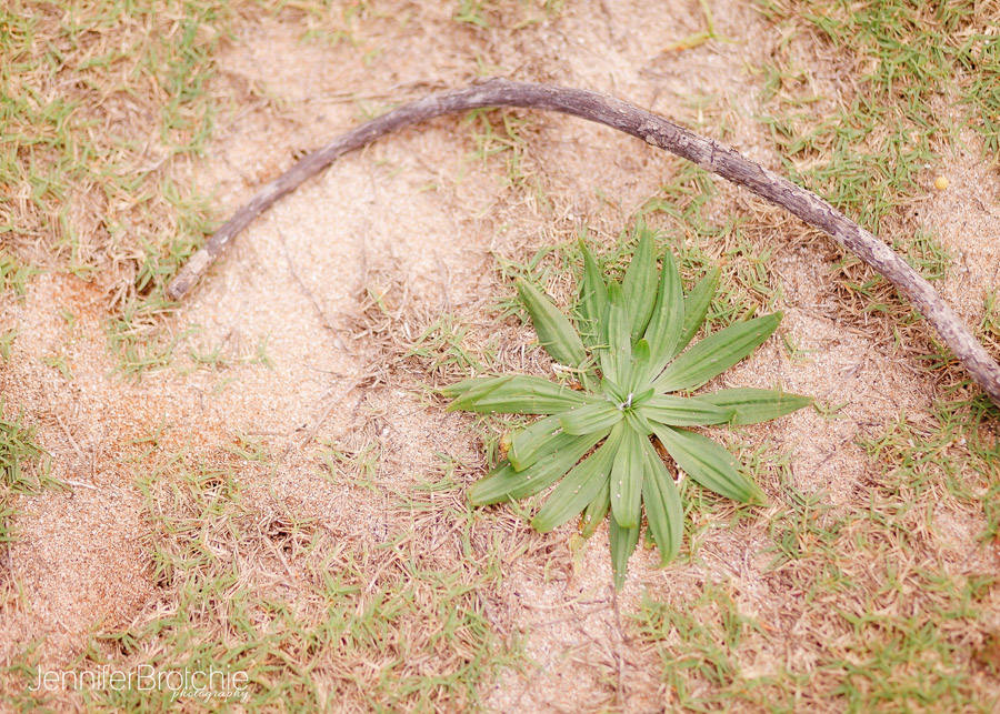Oahu Photographer, Family Portraits on the Beach, Hawaii Photographer, Disney Aulani Photos Pass, Turtle Bay Resort Professional Pictures, KoOlina Photographer