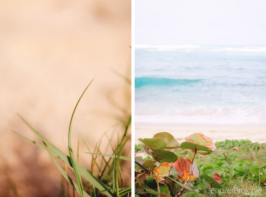 Oahu Photographer, Family Portraits on the Beach, Hawaii Photographer, Disney Aulani Photos Pass, Turtle Bay Resort Professional Pictures, KoOlina Photographer