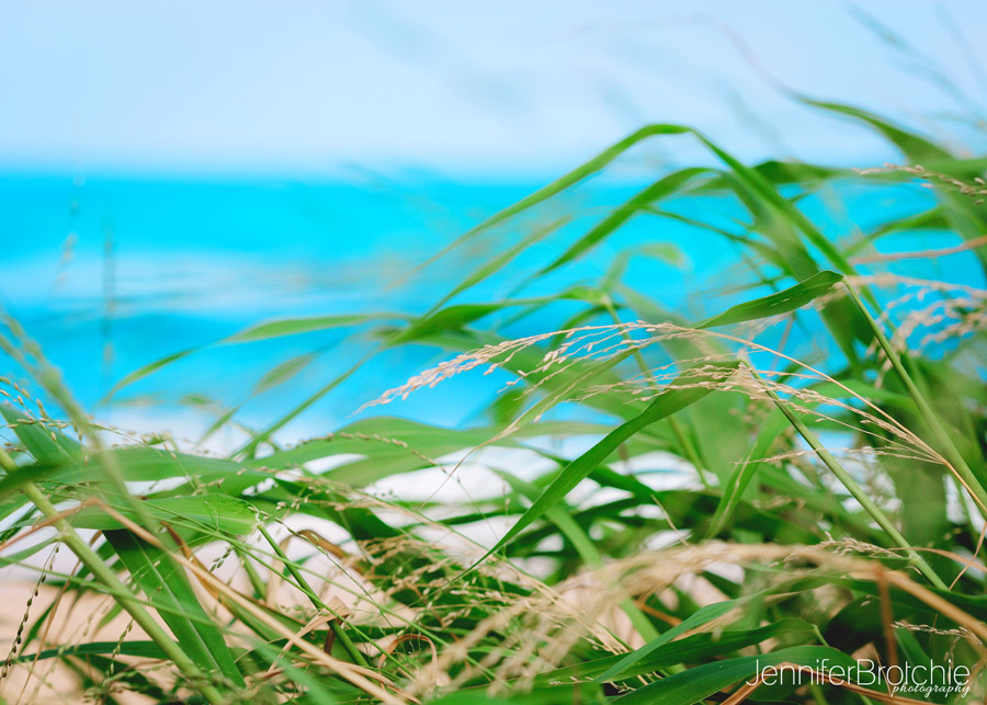 Oahu Photographer, Family Portraits on the Beach, Hawaii Photographer, Disney Aulani Photos Pass, Turtle Bay Resort Professional Pictures, KoOlina Photographer