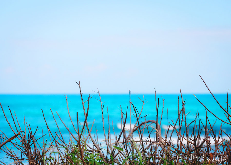 Oahu Photographer, Family Portraits on the Beach, Hawaii Photographer, Disney Aulani Photos Pass, Turtle Bay Resort Professional Pictures, KoOlina Photographer