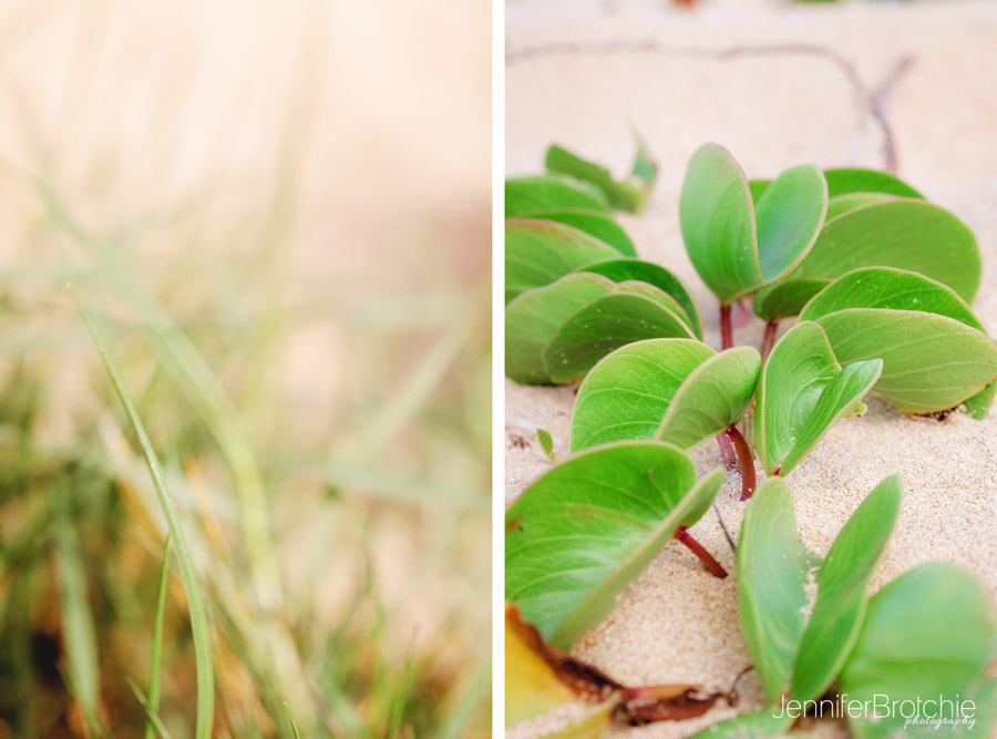 Oahu Photographer, Family Portraits on the Beach, Hawaii Photographer, Disney Aulani Photos Pass, Turtle Bay Resort Professional Pictures, KoOlina Photographer