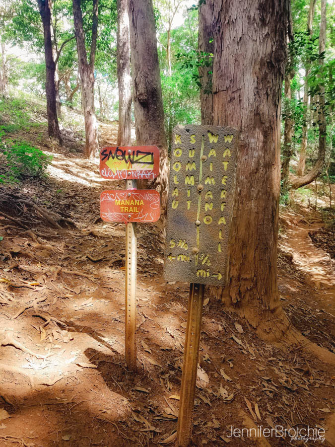 Oahu Hikes, Waterfall Hikes, Oahu Photographer
