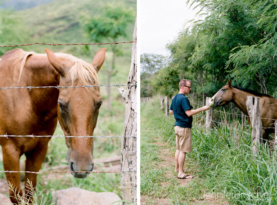 Oahu Family Photographer, Film Photographer on Oahu, Disney Aulani Photos on the Beach, Waikiki Photographer, Turtle Bay Beach Portraits