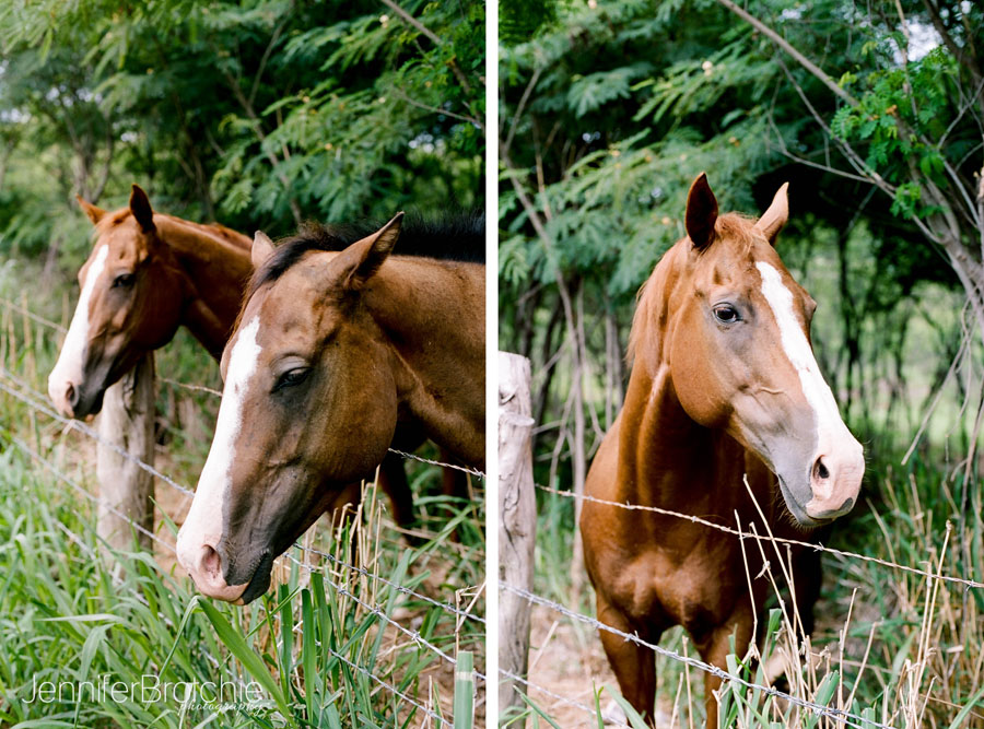 Oahu Family Photographer, Film Photographer on Oahu, Disney Aulani Photos on the Beach, Waikiki Photographer, Turtle Bay Beach Portraits