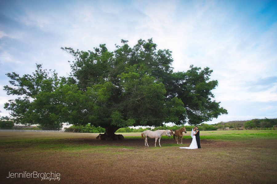 Planning Your Hawaiian Wedding, Oahu Wedding Photographer, Oahu Elopements, How to get married in Hawaii, Beach Weddings in Oahu, Jennifer Brotchie Photography